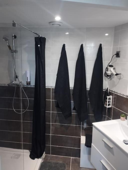 Appartement Coeur De Ville! Foix Kültér fotó