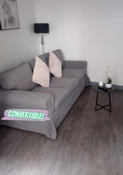 Appartement Coeur De Ville! Foix Kültér fotó